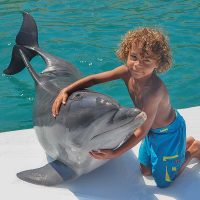 delfinarium-bodrum-pokaz-i-pływanie-z-delfinami